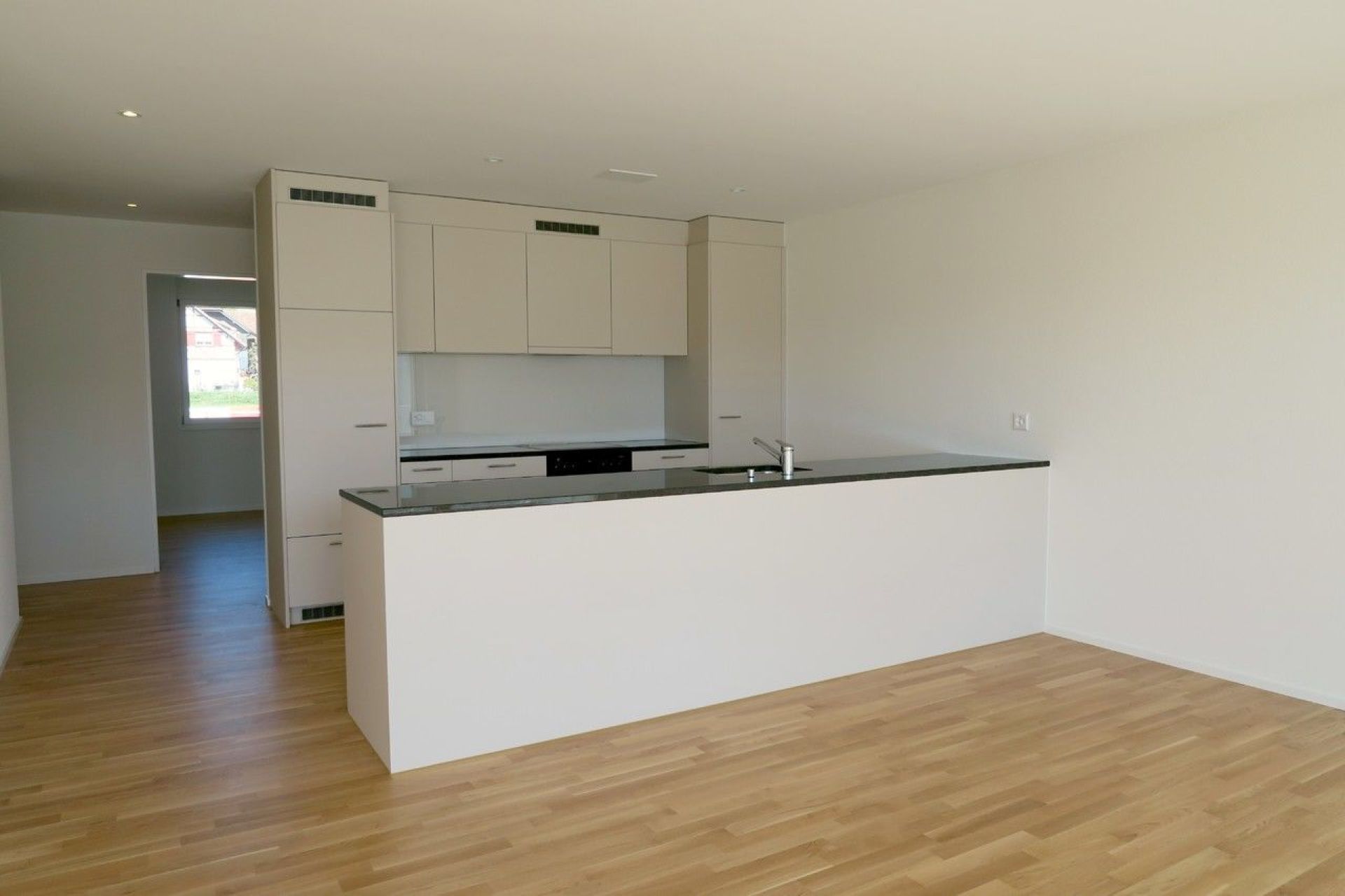 Miete: moderne und grosszügige Wohnung 5425 Schneisingen 5425 Schneisingen